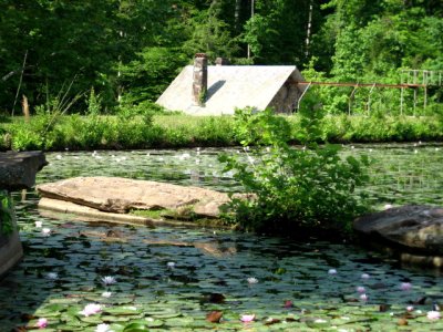 Allison's Woods 005.jpg