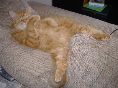 DSCF0653 (Small).JPG