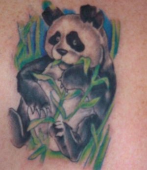PANDA2.jpg