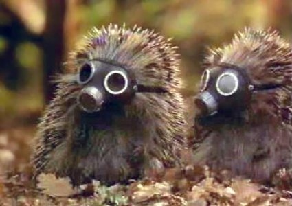 Hedgehog Brothers III.jpg
