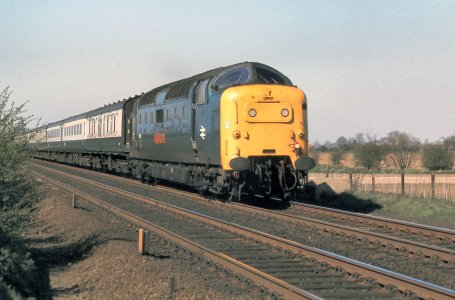 01B56898-FCBF-4B2F-BDBE-9686F95C8E4E.jpeg 01B56898-FCBF-4B2F-BDBE-9686F95C8E4E.jpeg