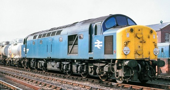 421BB792-8C43-4422-99F1-92EF8EB041D3.jpeg 421BB792-8C43-4422-99F1-92EF8EB041D3.jpeg