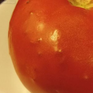 Tomato Acne.JPG