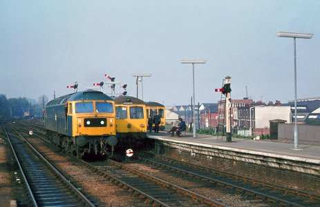 239FBD81-C25D-427D-A038-C2E0B7BD577C.jpeg 239FBD81-C25D-427D-A038-C2E0B7BD577C.jpeg