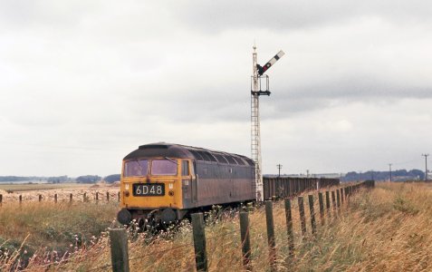 4C761739-5A6C-45F0-B135-AEFD3C00C8B5.jpeg 4C761739-5A6C-45F0-B135-AEFD3C00C8B5.jpeg