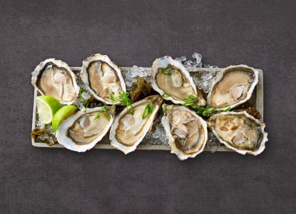 86947-Tia-Maraa-Austern-48er-kaufen-1_1280x1280.jpg