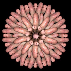 ros blr_ml50uo2J9m1qm4wfno1_1280.jpg