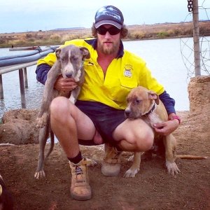 Looking shorts 2.jpg