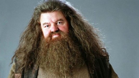 hagrid-1280x720-1-1024x576.jpg