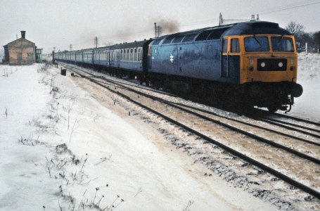 F3F28D3C-753B-46E2-901C-5FF1162E35C1.jpeg F3F28D3C-753B-46E2-901C-5FF1162E35C1.jpeg