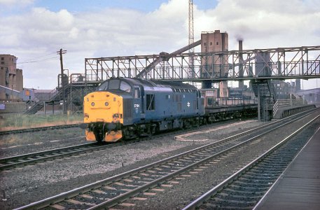 A4AD2538-22EB-4544-8593-234009898B4C.jpeg A4AD2538-22EB-4544-8593-234009898B4C.jpeg