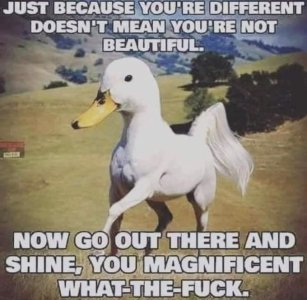 70d5a3103847ad0a102f647fc4155311.jpg 70d5a3103847ad0a102f647fc4155311.jpg