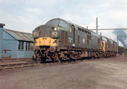 0DDF5281-D9A6-4EC7-83F6-B3CF6E98692C.jpeg 0DDF5281-D9A6-4EC7-83F6-B3CF6E98692C.jpeg