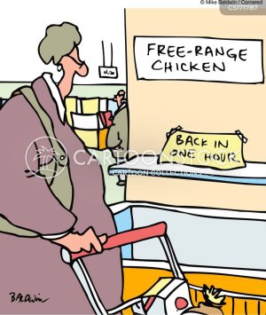 animals-shopping-shoppers-free_range-chicken-store-mban2165_low.jpg