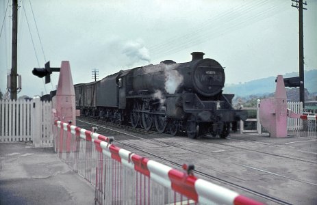 9B4753DD-36AB-4068-8753-8E2CEF3C5A66.jpeg 9B4753DD-36AB-4068-8753-8E2CEF3C5A66.jpeg