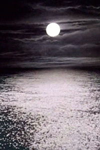 b86a12fa50dd0db672a24ad0e5db64d9.gif b86a12fa50dd0db672a24ad0e5db64d9.gif