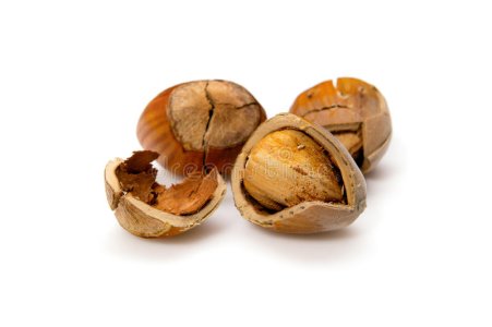 cracked-nuts-isolated-white-background-38342427.jpg