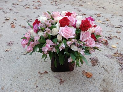 Pat's Roses.jpg Pat's Roses.jpg