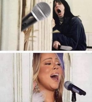 Mariah-Carey-Memes-8.jpg