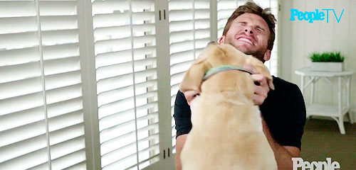 DogKisses a.gif