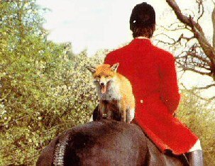 fox_hunter.jpg fox_hunter.jpg