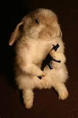 with gun.png with gun.png