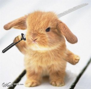 bunny with sword.jpg bunny with sword.jpg