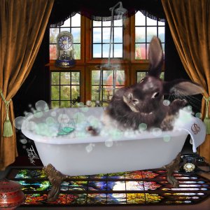 bath 6.jpg bath 6.jpg