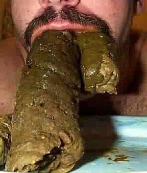 tumblr_p2frpbHrm61wm3beqo1_400.jpg