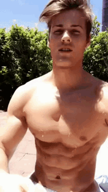 hot-abs-muscle.gif