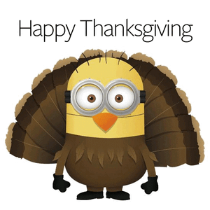 342183-Bouncing-Turkey-Happy-Thanksgiving-Minion-Gif.gif