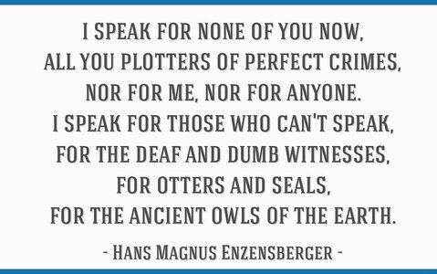 hans-magnus-enzensberger-quote-lbv1z7c.jpg