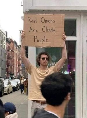 red onions r purple.jpg