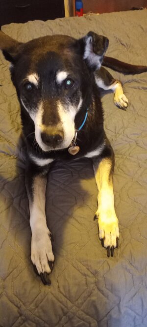 billie.jpg billie.jpg