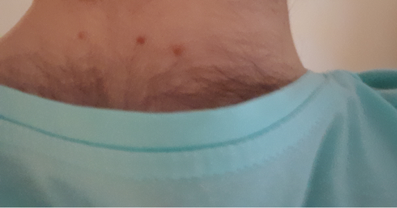 picture10.png picture10.png