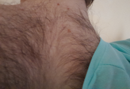 picture12.png picture12.png