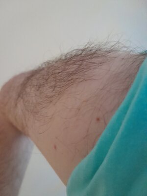 picture13.jpg picture13.jpg