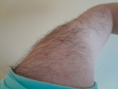 picture14.jpg picture14.jpg