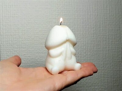 cand 0xN.3552305284_no6t.jpg