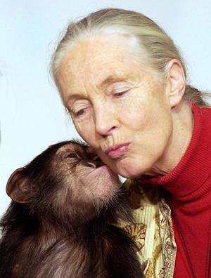 janegoodall.jpg