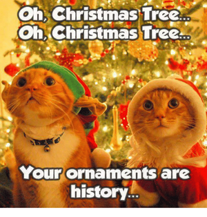 christmas-tree-oh-oh-christmas-tree-your-ornaments-are-history-8289319-1291850766.png