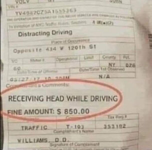 Head while Driving.jpg