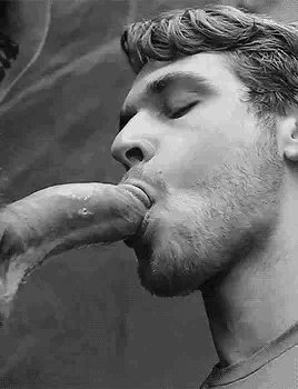 Slurping-cock.gif