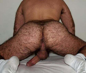 HAIRY ASS2.jpg