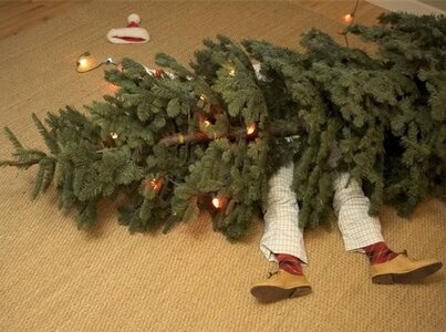 christmas tree fallen.jpg
