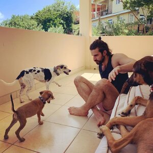 Zach Forester Williams 75352135.jpg