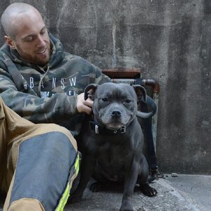 Tim J Perry and Indi 43984687n.jpg