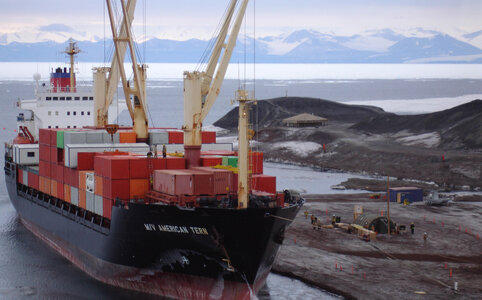 MV_American_Tern_at_McMurdo_Sound.jpg
