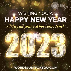Happy-New-Year-Gif-2023-Gif-©-wj4u0313092022.gif
