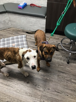 1672779506130.png 1672779506130.png